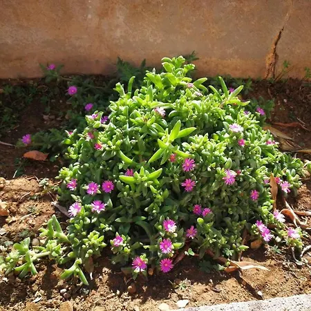 Holiday home Pensiero Speciale Alcamo