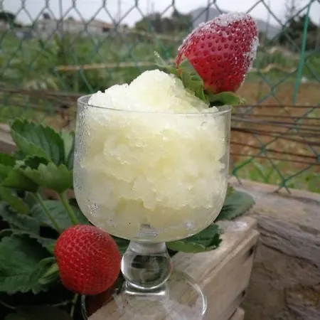 Pensiero Speciale * Alcamo