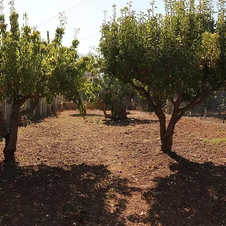 Pensiero Speciale * Alcamo