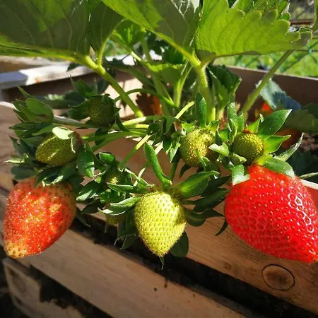 Holiday home Pensiero Speciale