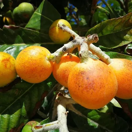 Holiday home Pensiero Speciale Alcamo