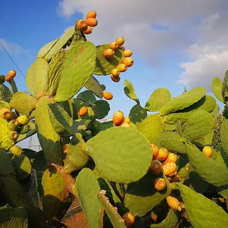 Holiday home Pensiero Speciale Alcamo