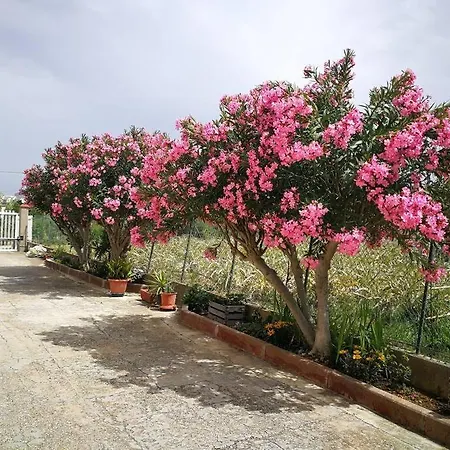 Pensiero Speciale