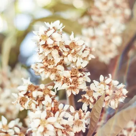 Pensiero Speciale Holiday home Alcamo