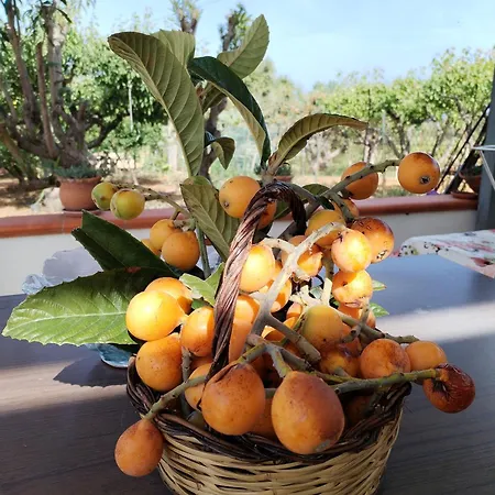 Pensiero Speciale Alcamo