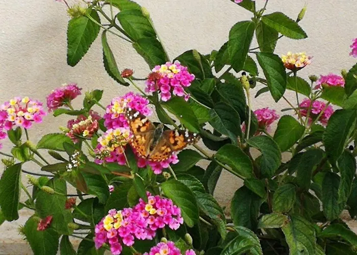 Pensiero Speciale Σπίτι διακοπών Alcamo