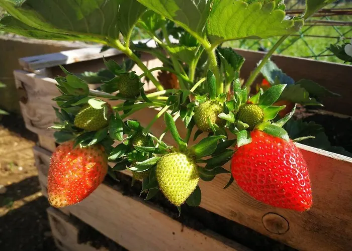 Σπίτι διακοπών Pensiero Speciale