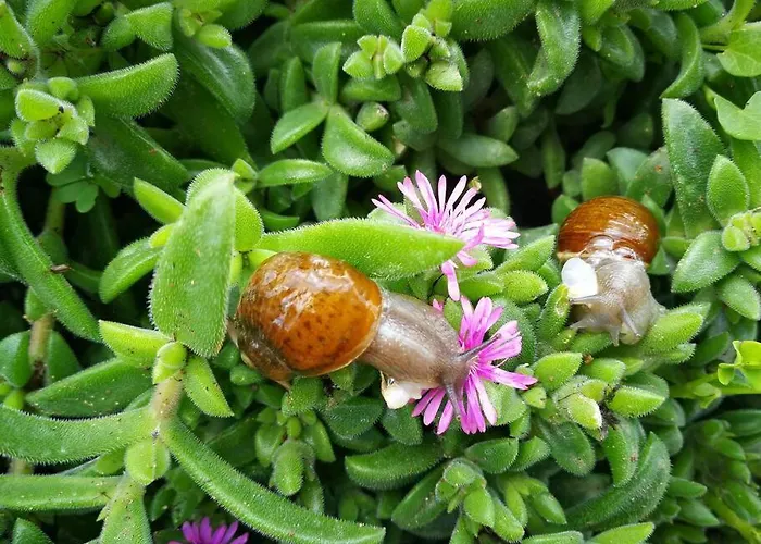 Pensiero Speciale Σπίτι διακοπών