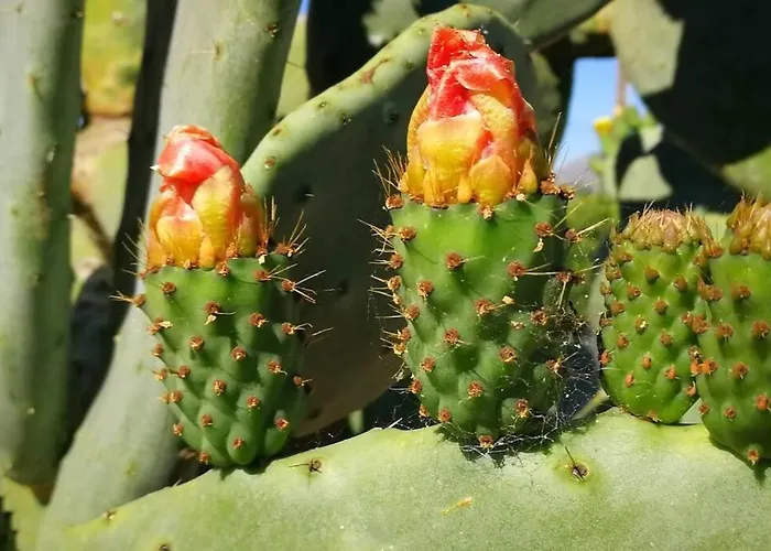 Σπίτι διακοπών Pensiero Speciale *