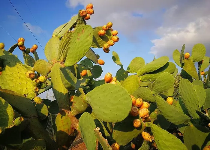 Σπίτι διακοπών Pensiero Speciale Alcamo