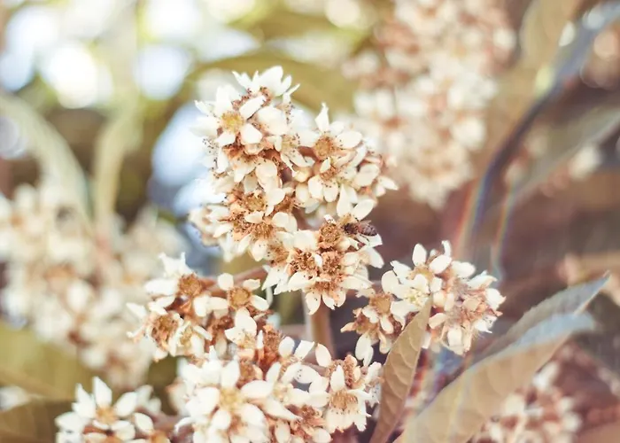 Pensiero Speciale Σπίτι διακοπών Alcamo