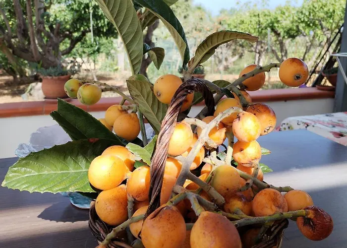 Pensiero Speciale Alcamo